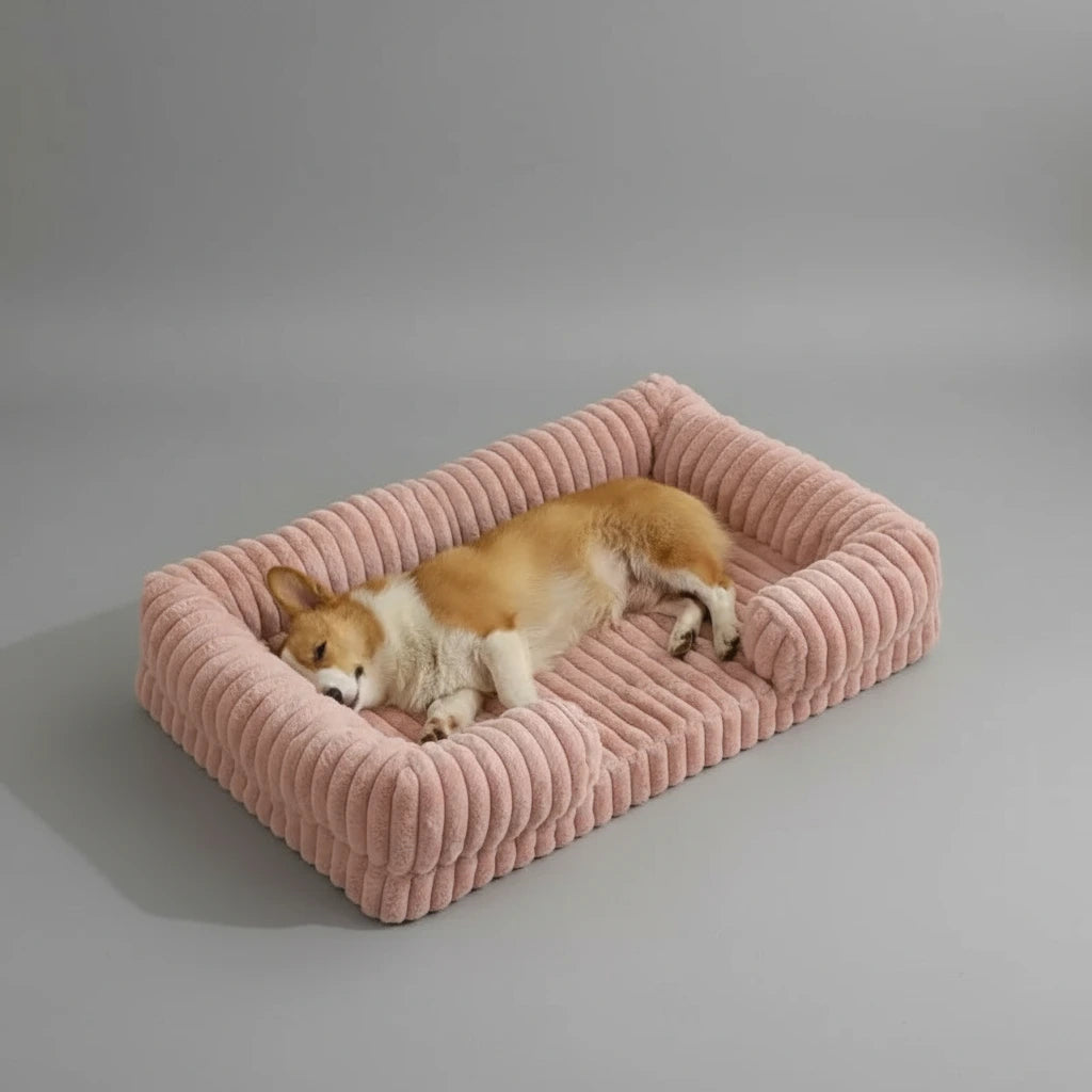 Matelas orthopédique pour chien – Sommeil réparateur et confort articulaire