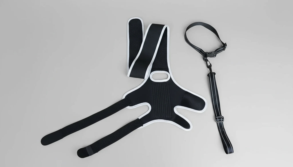 Orthèse de soutien pour chien – Genou, hanche et patte arrière